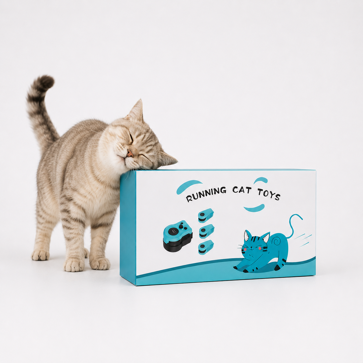 PurrSprint – Interaktiver Laufkurs