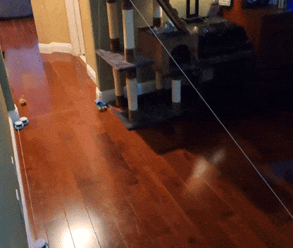 2 Extra Pulleys