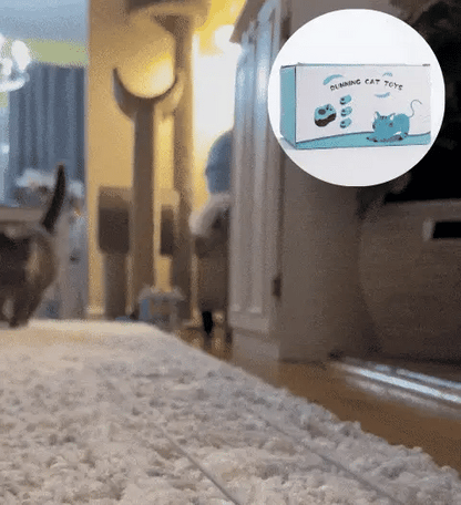 PurrSprint™  Advanced Chasing Kit